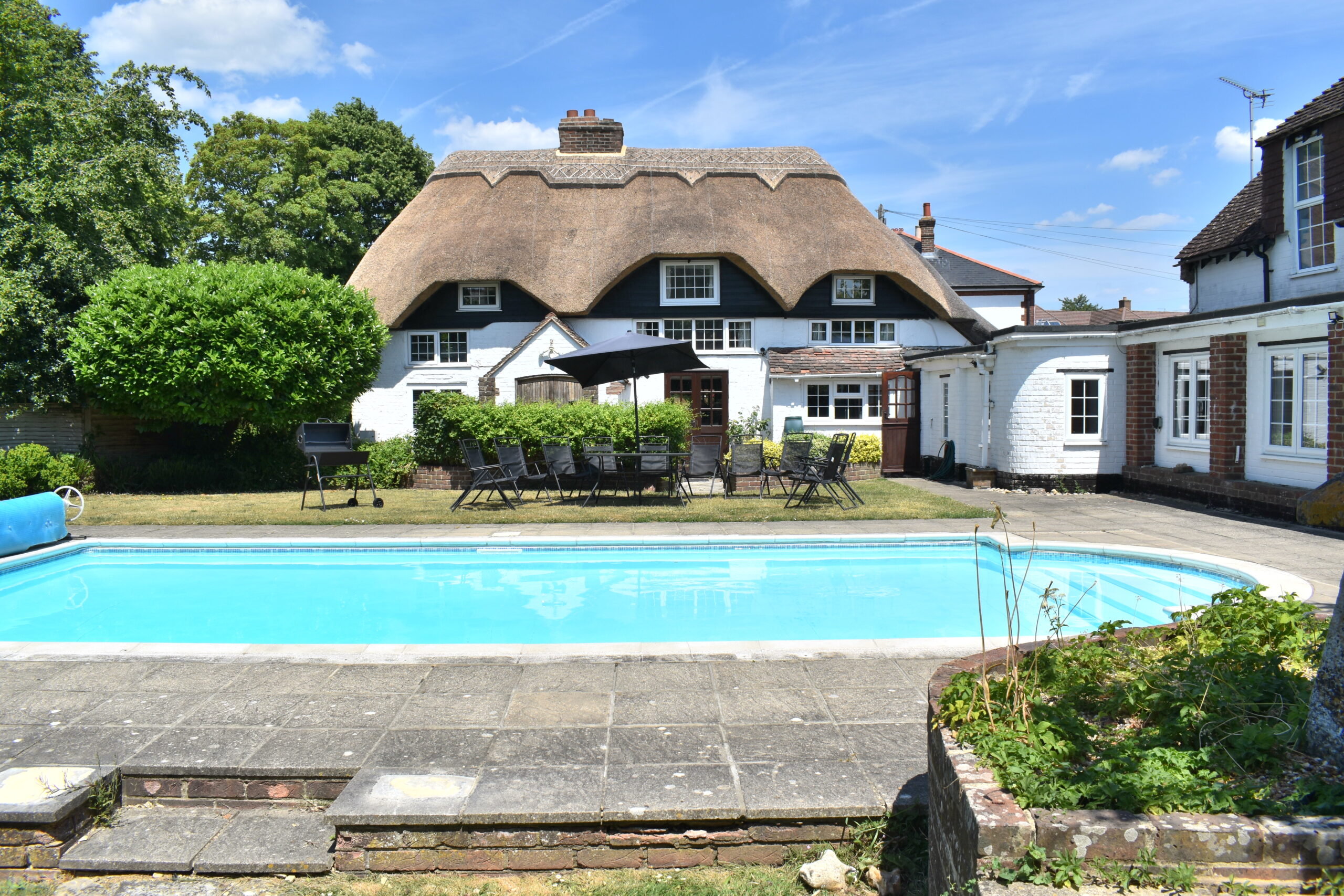 Old Thatch - The Good Dog Guide
