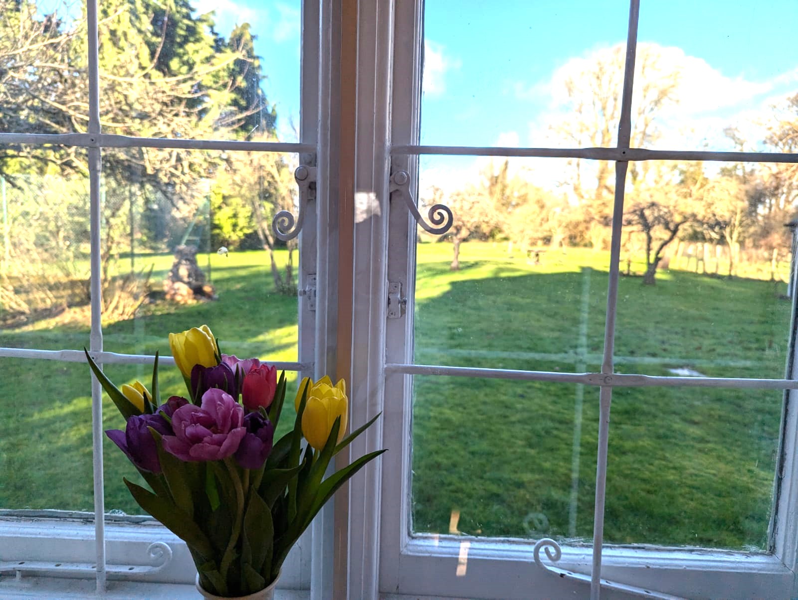 Garden views Garden Views