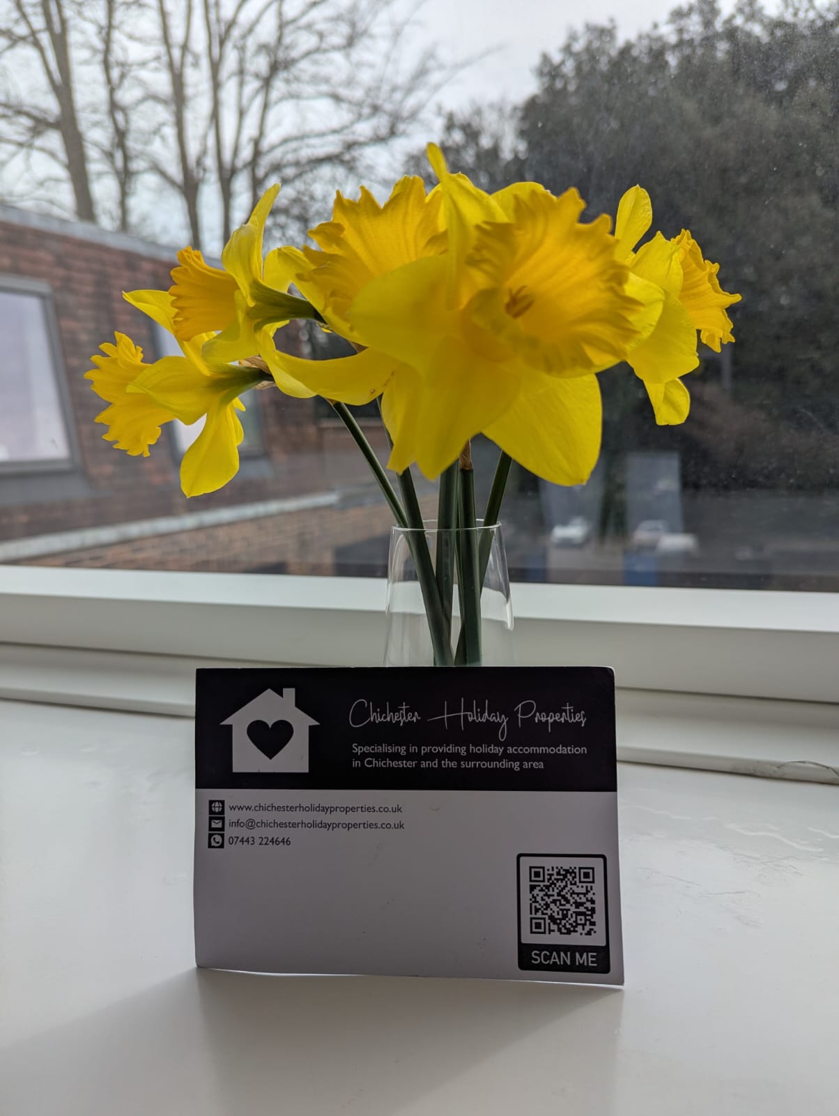 Enjoy your stay at Chichester Holiday Properties Enjoy your stay at Chichester Holiday Properties