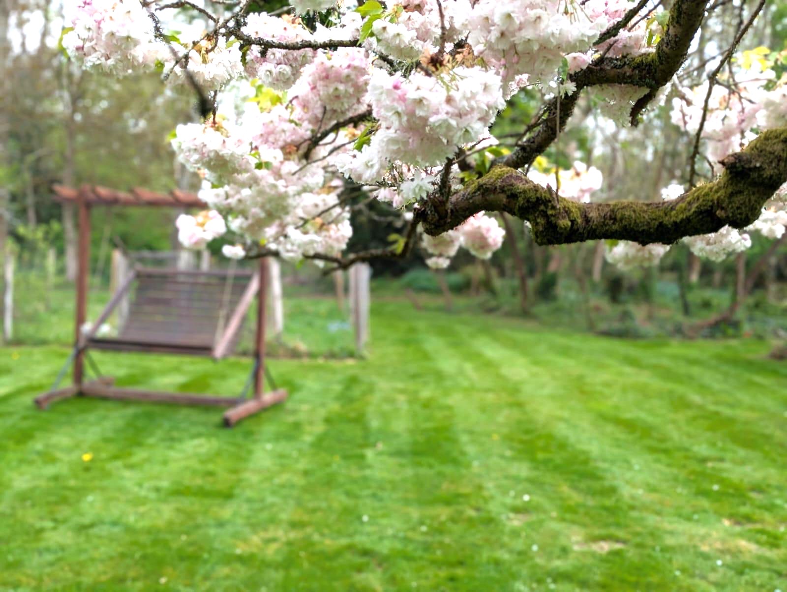 Rural Cottage with Large Garden Rural Cottage with Large Garden
