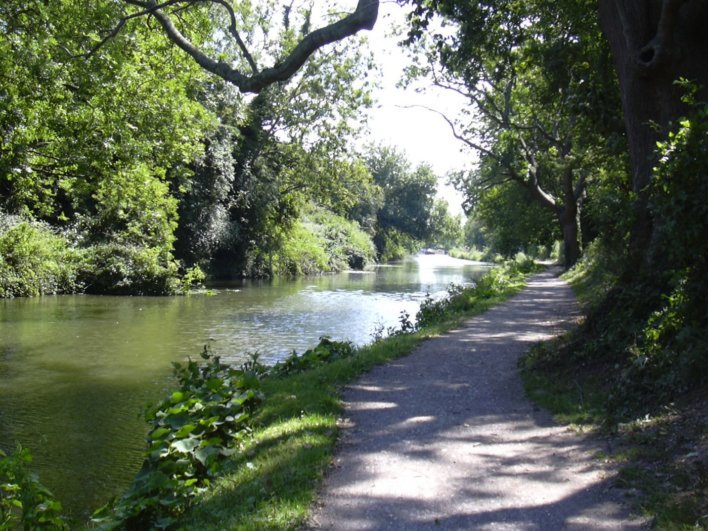 chichester canal