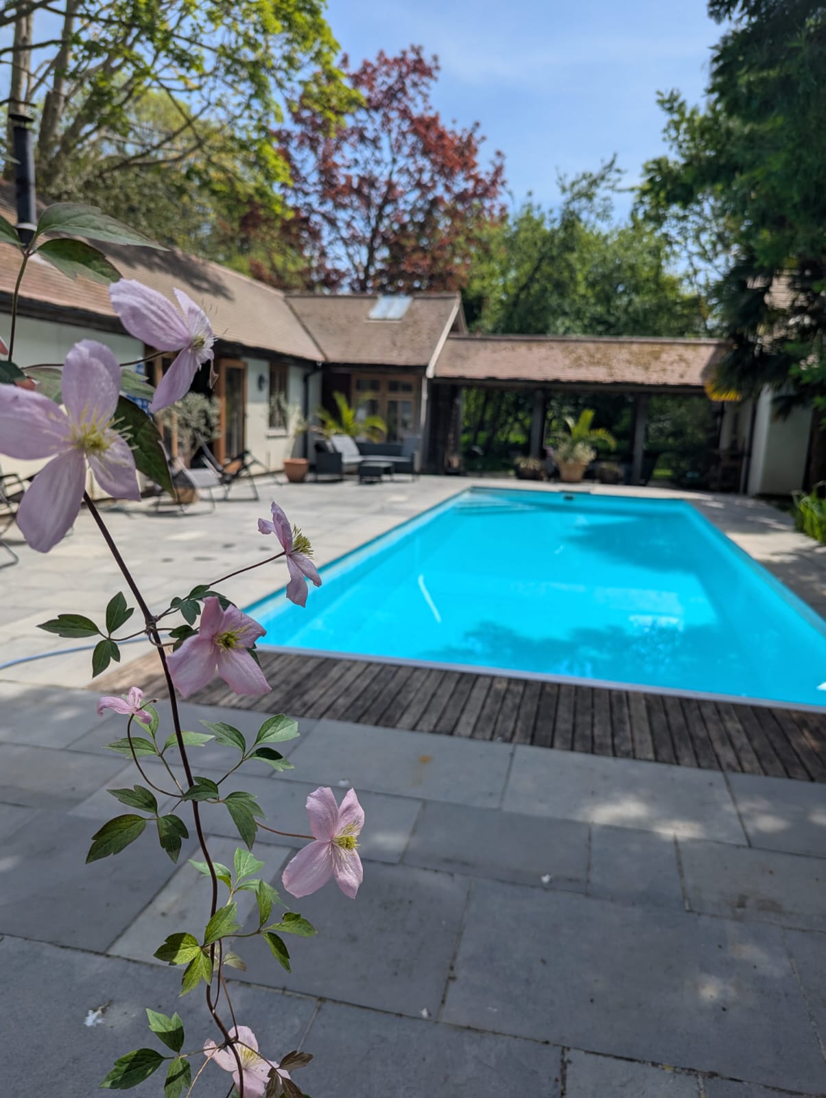 Outdoor Heated Pool Outdoor Heated Pool
