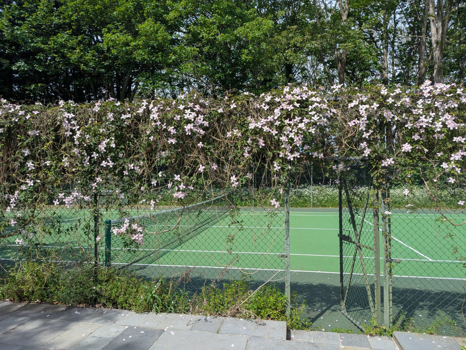 Tennis Court Tennis Court