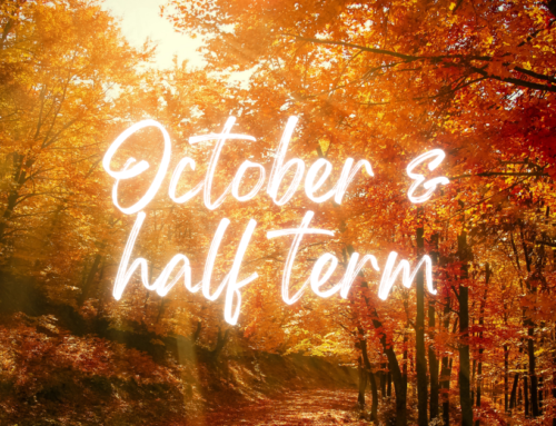 October Late Availability in Chichester 🍂